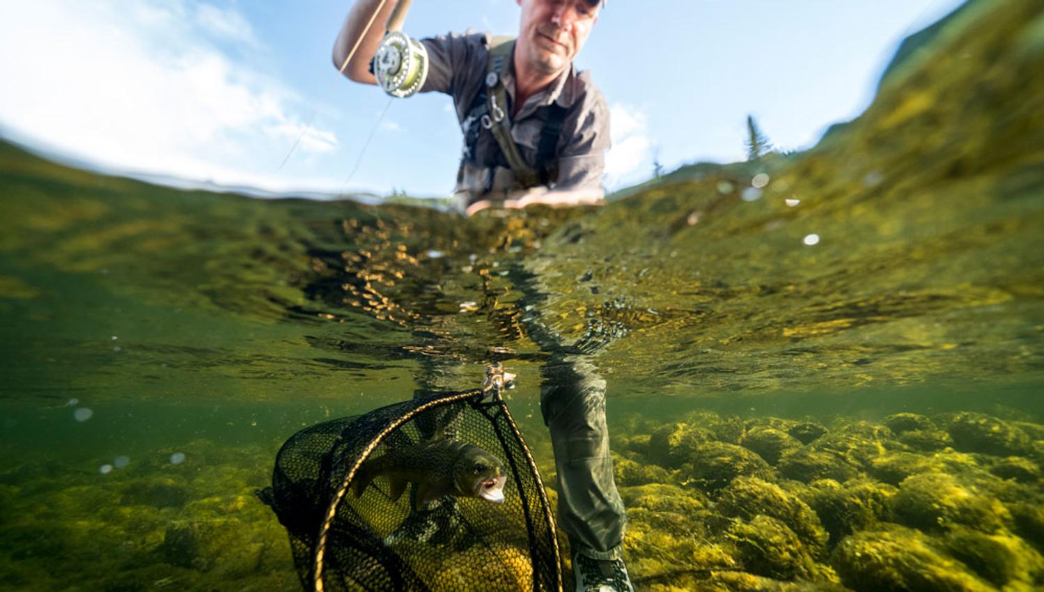 mann har fanget fisk med nett