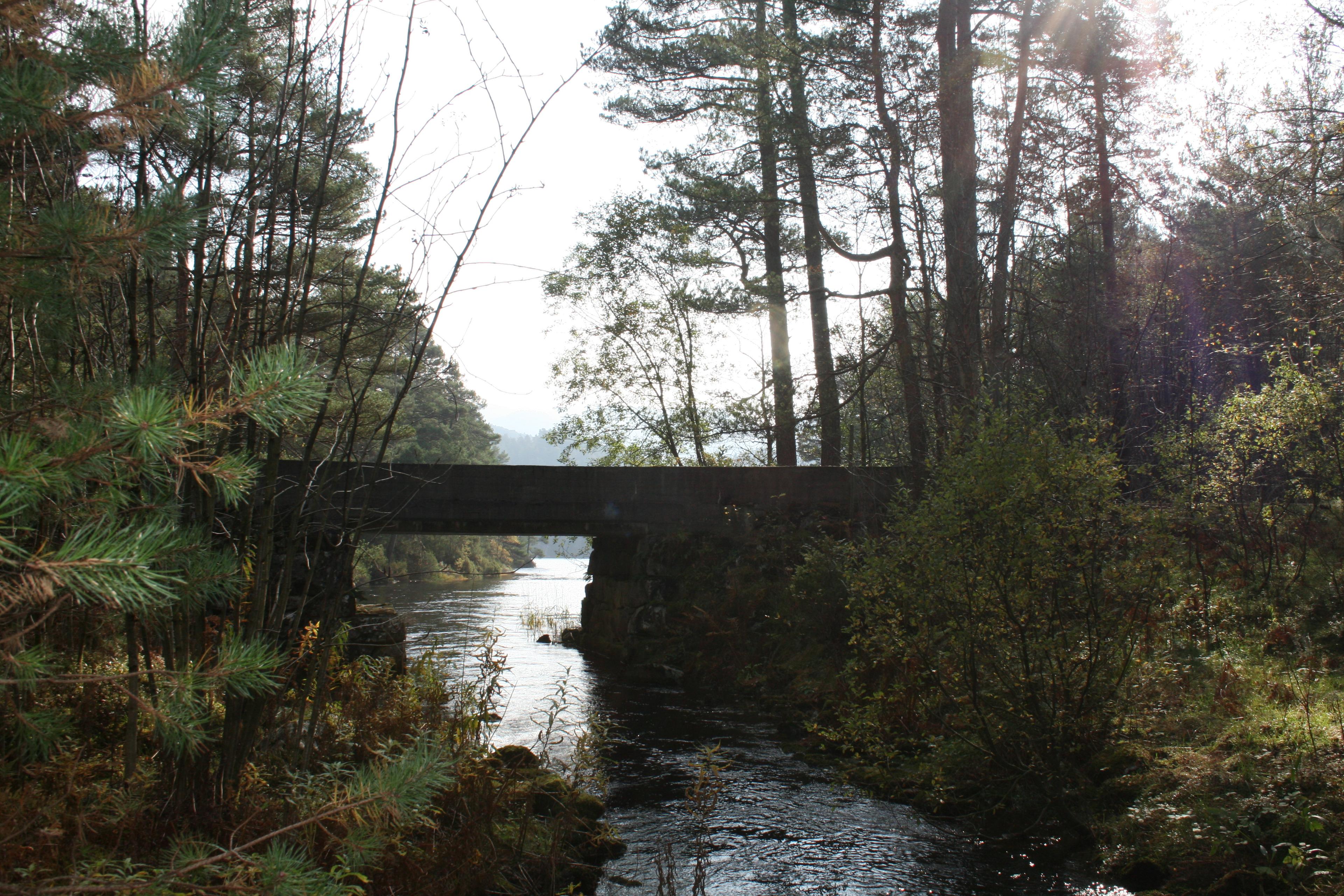 Bicycle route to Flatråkervassdraget