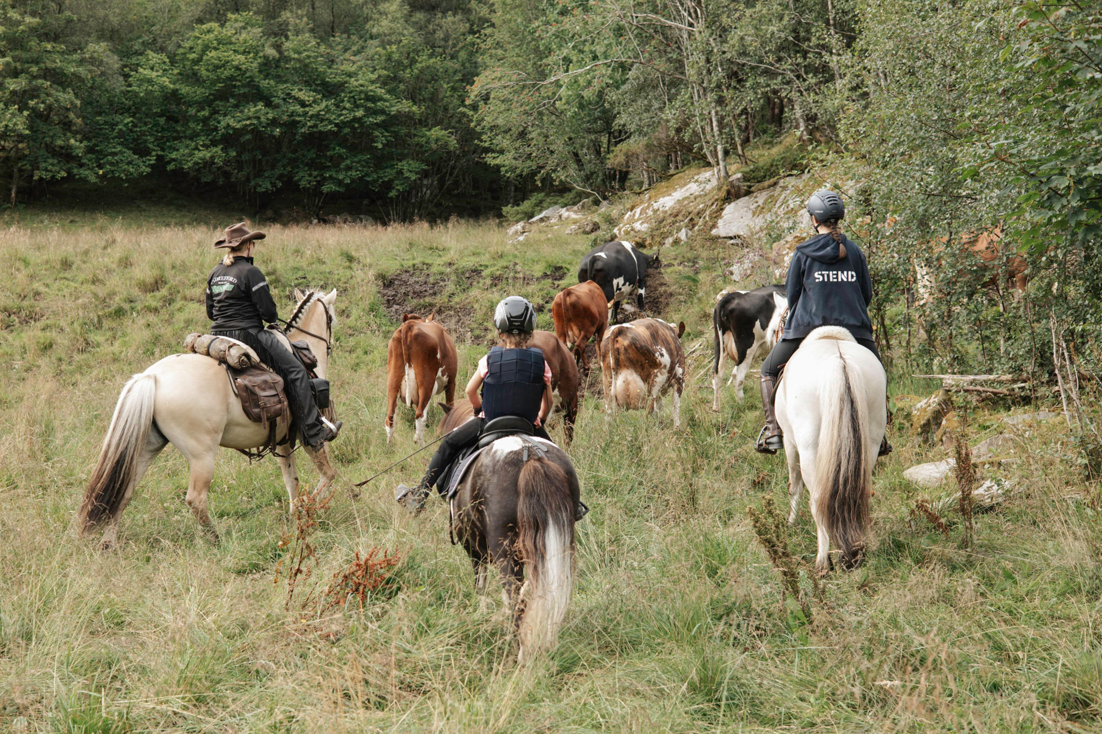 Wild Western with Indrefjord Gard