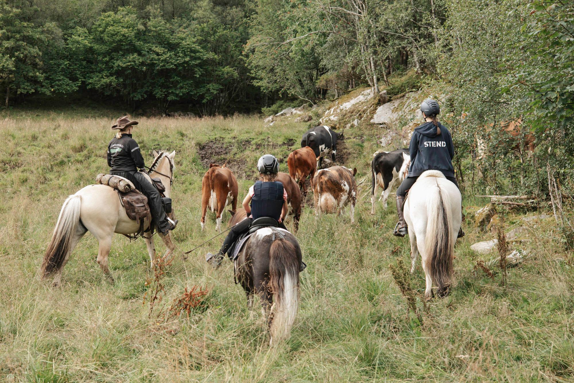 Wild Western with Indrefjord Gard