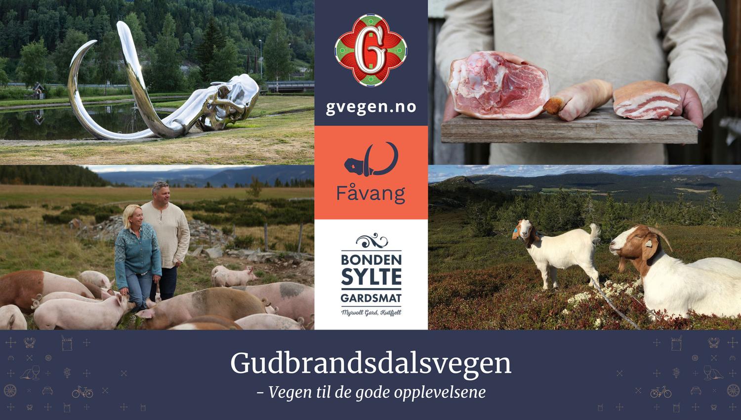gvegen-visit-lillehammer-covershots-fa°vang-001