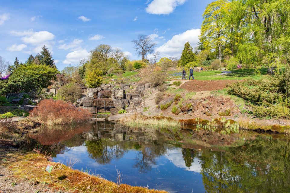 Dam og trær i botaniske hage.