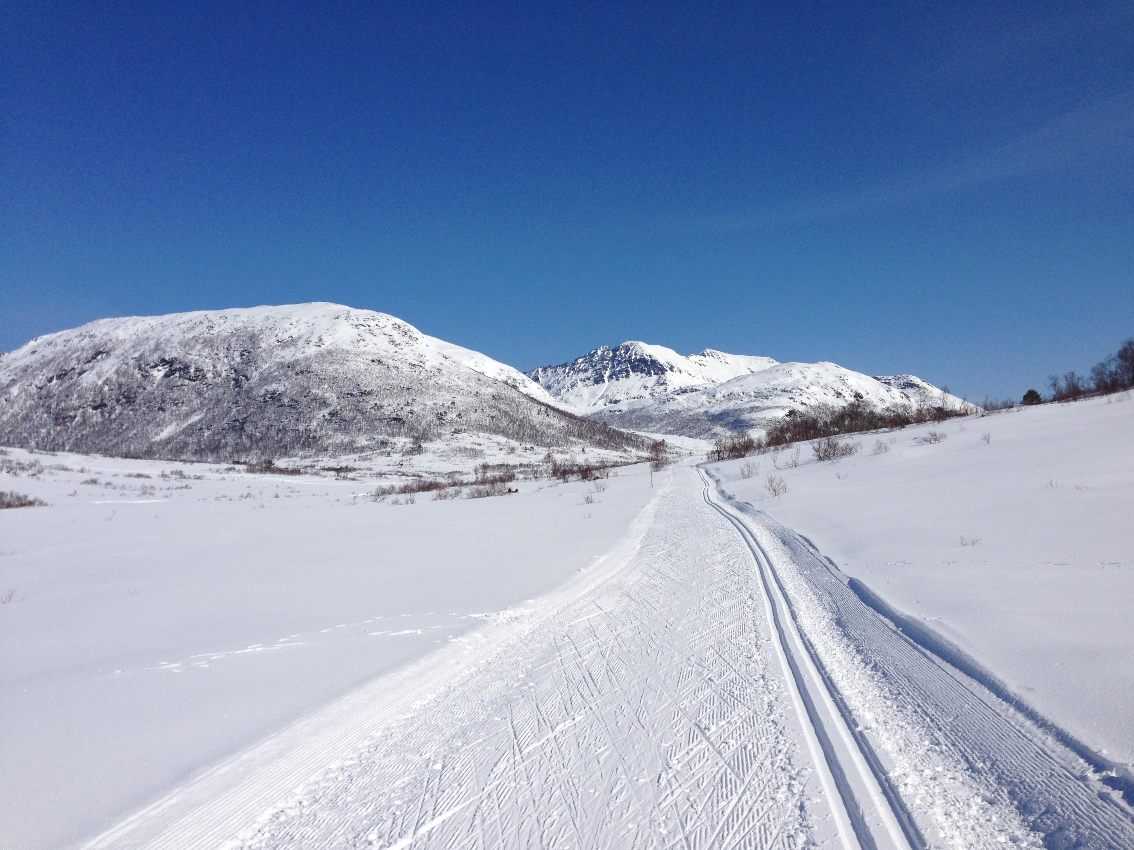 Cross-country at Skaret