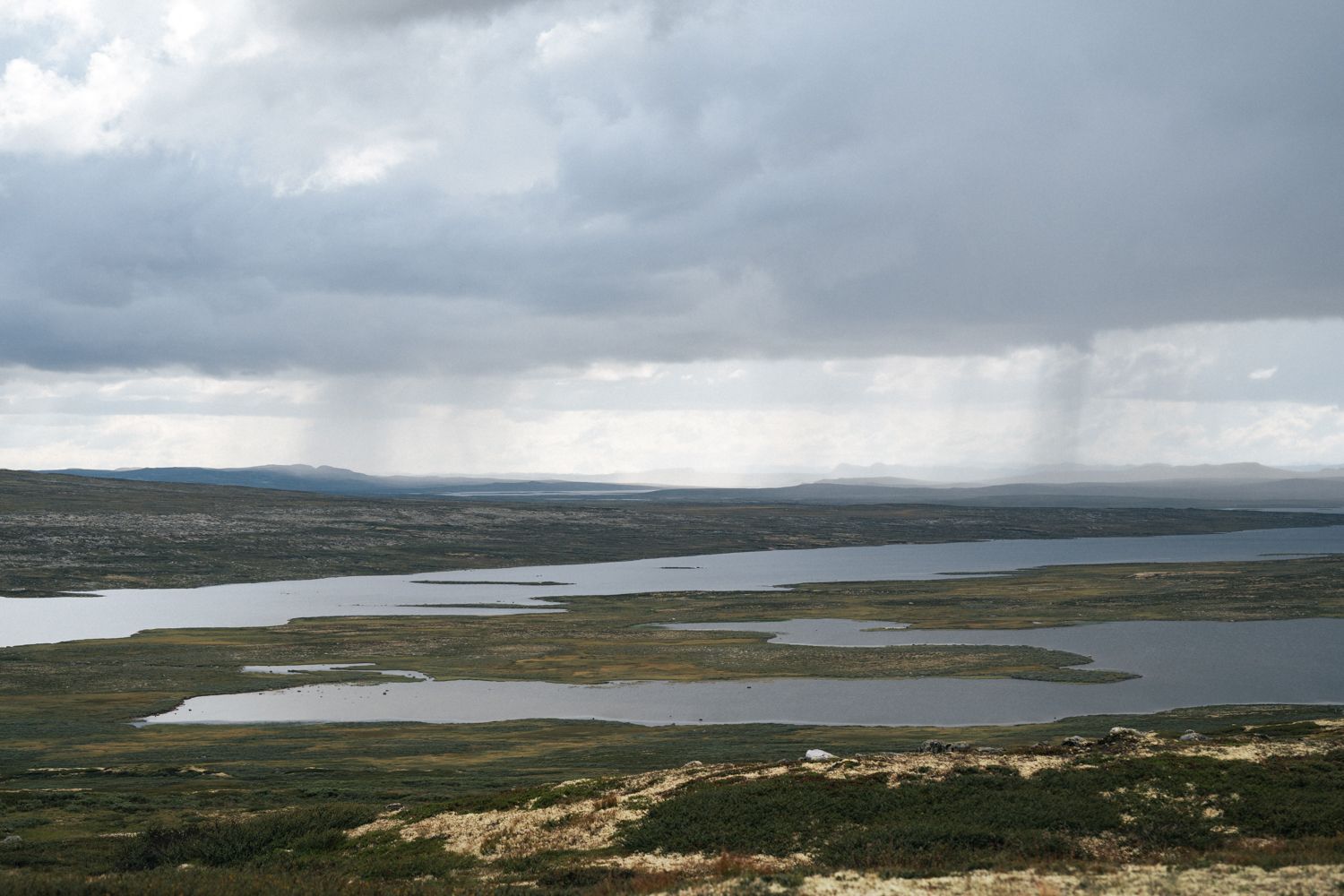 Hardangervidda x Yrjan Olsnes 2021-08409