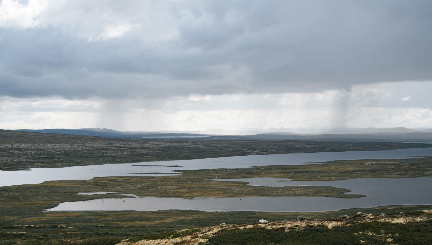 Hardangervidda x Yrjan Olsnes 2021-08409