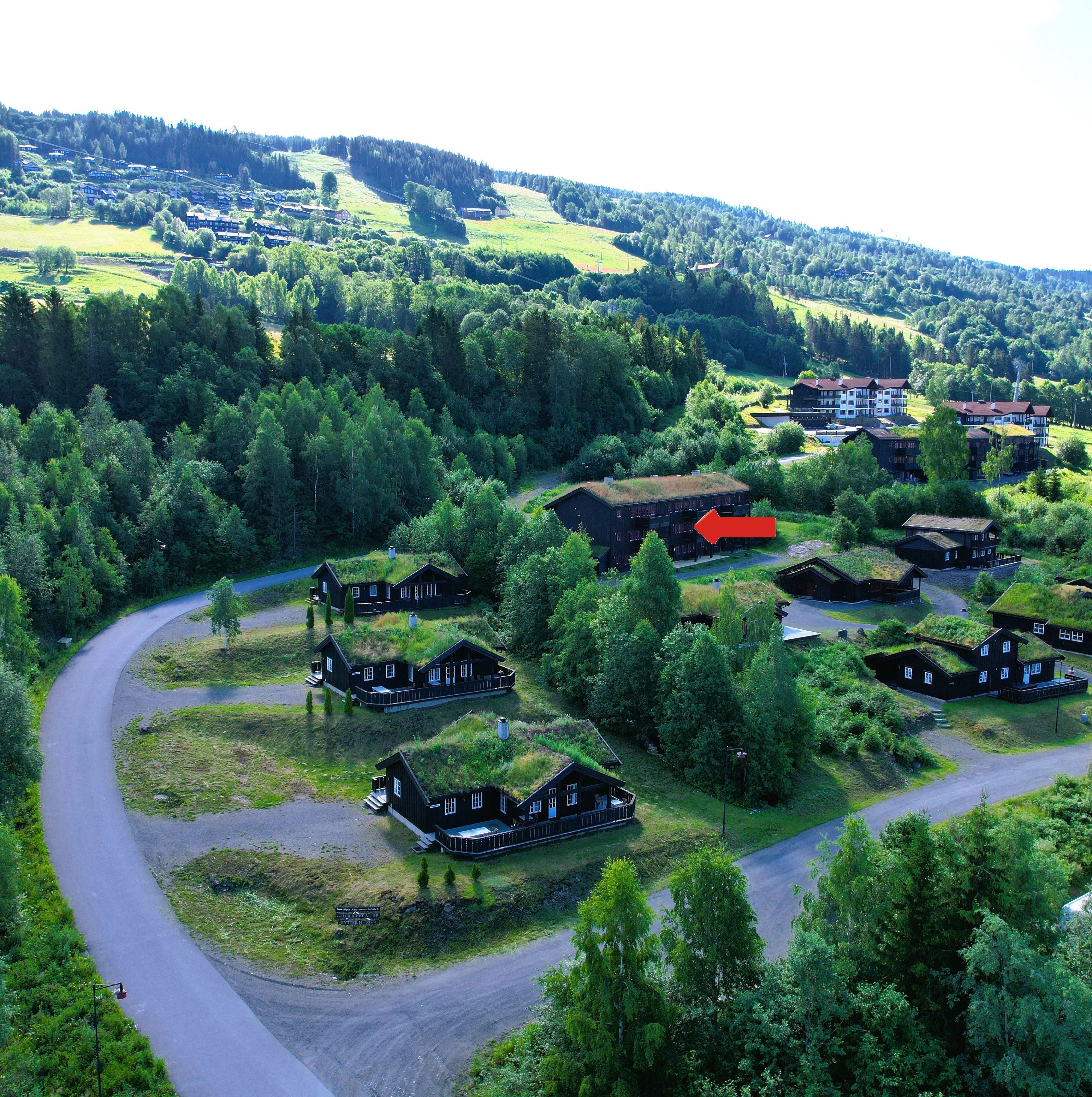 A group of houses in a forest.