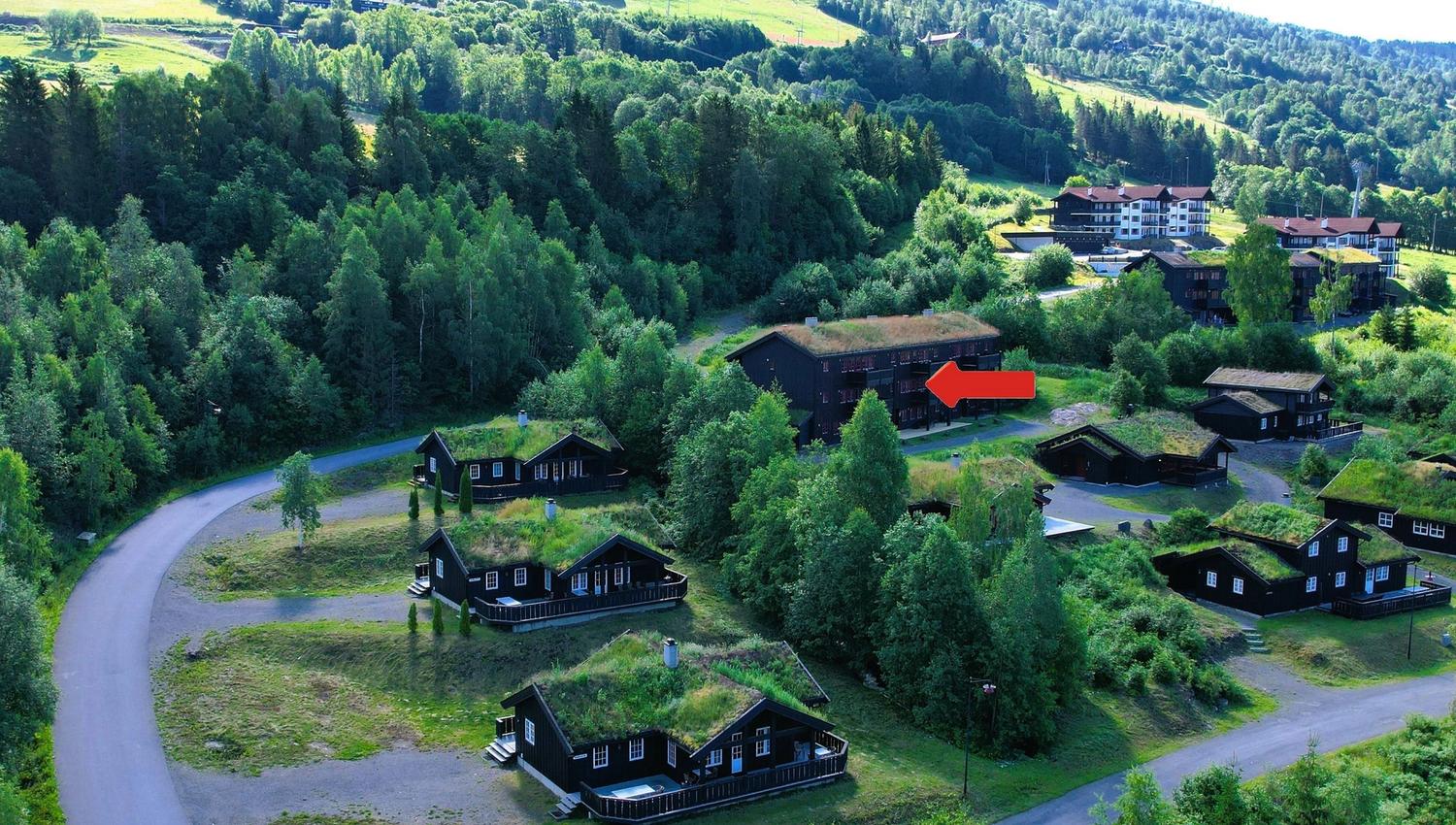 A group of houses in a forest.