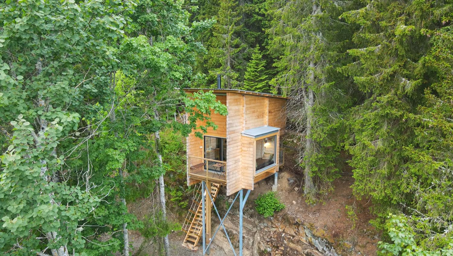 Tretopcabin in the forest