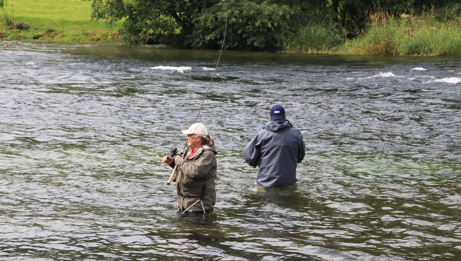 Her kan du fiske den berømte aurefisken