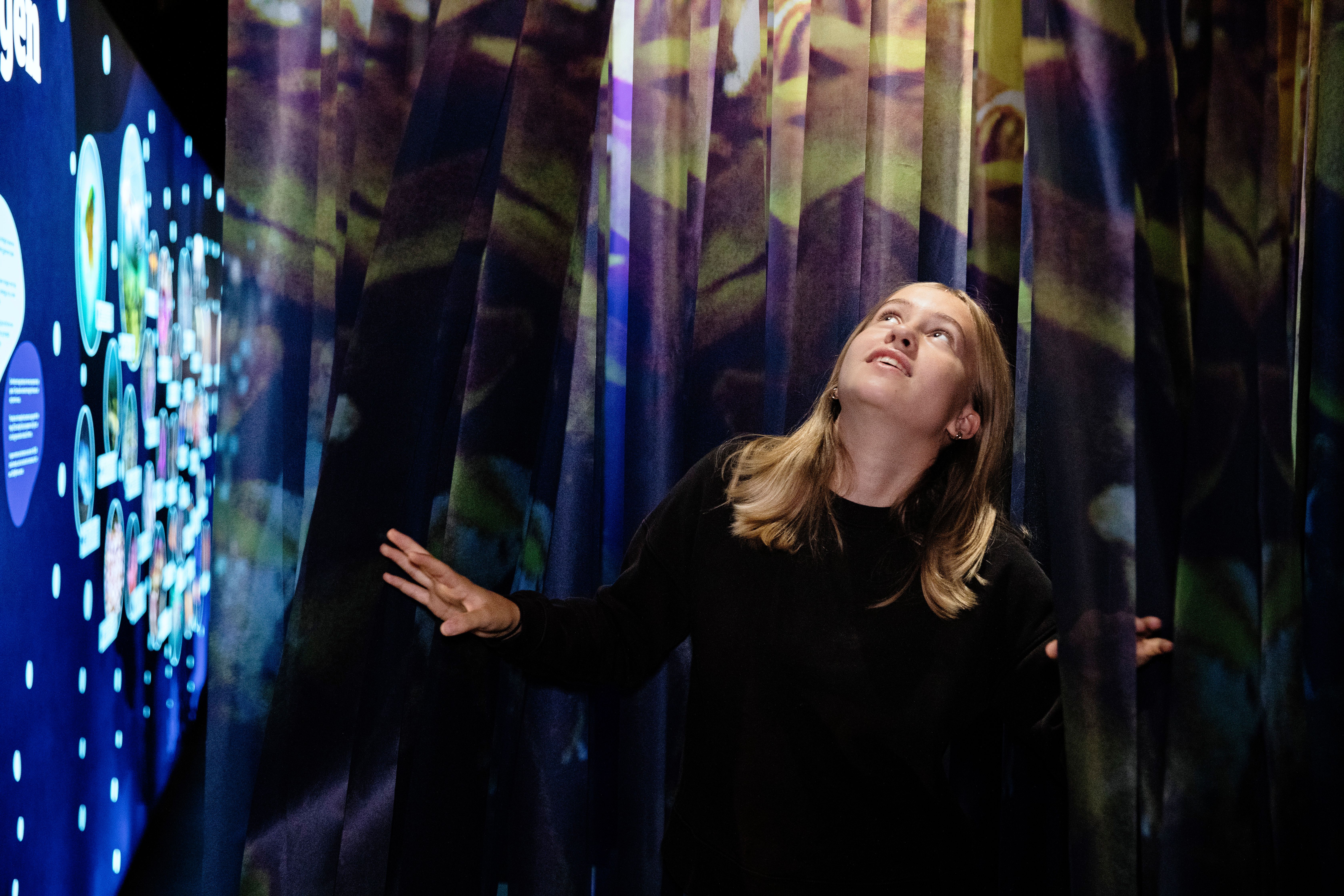 Lær om tareskogen og andre ting som vokser i havet.