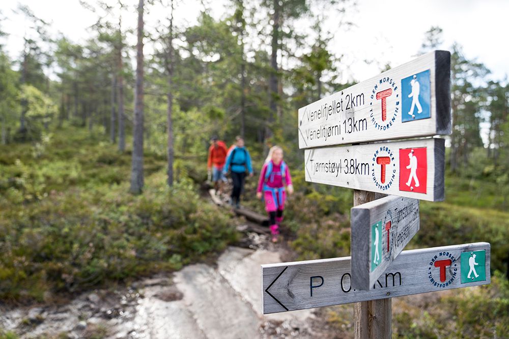 vandreskilt på veien til Venelifjell i Vrådal