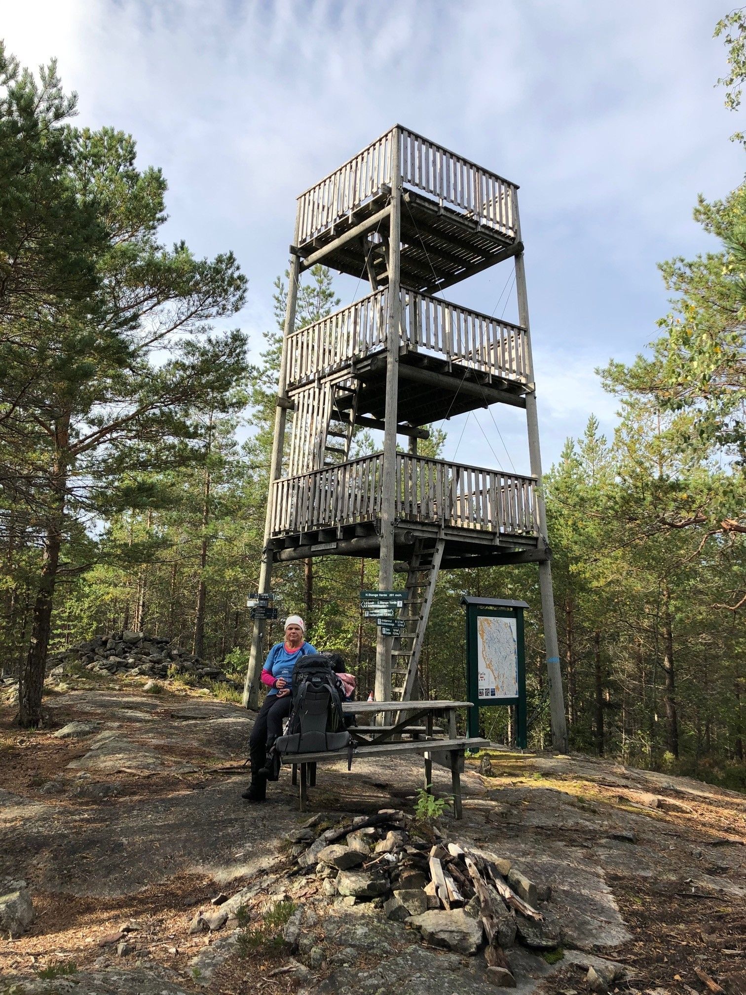 Tårn i skogen