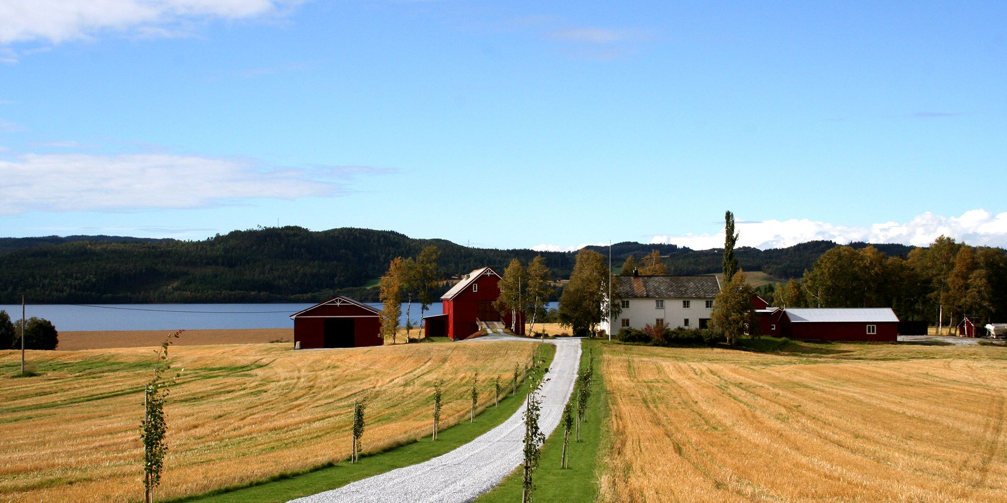 Biking around Leksdalsvatnet - going through farm yards