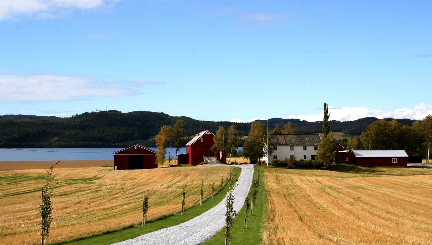 Biking around Leksdalsvatnet - going through farm yards