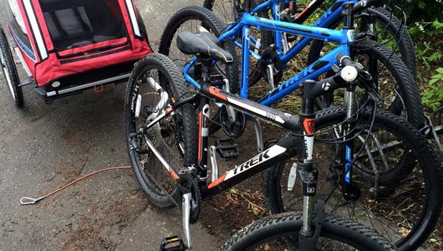 Bicycles and bicycle cart