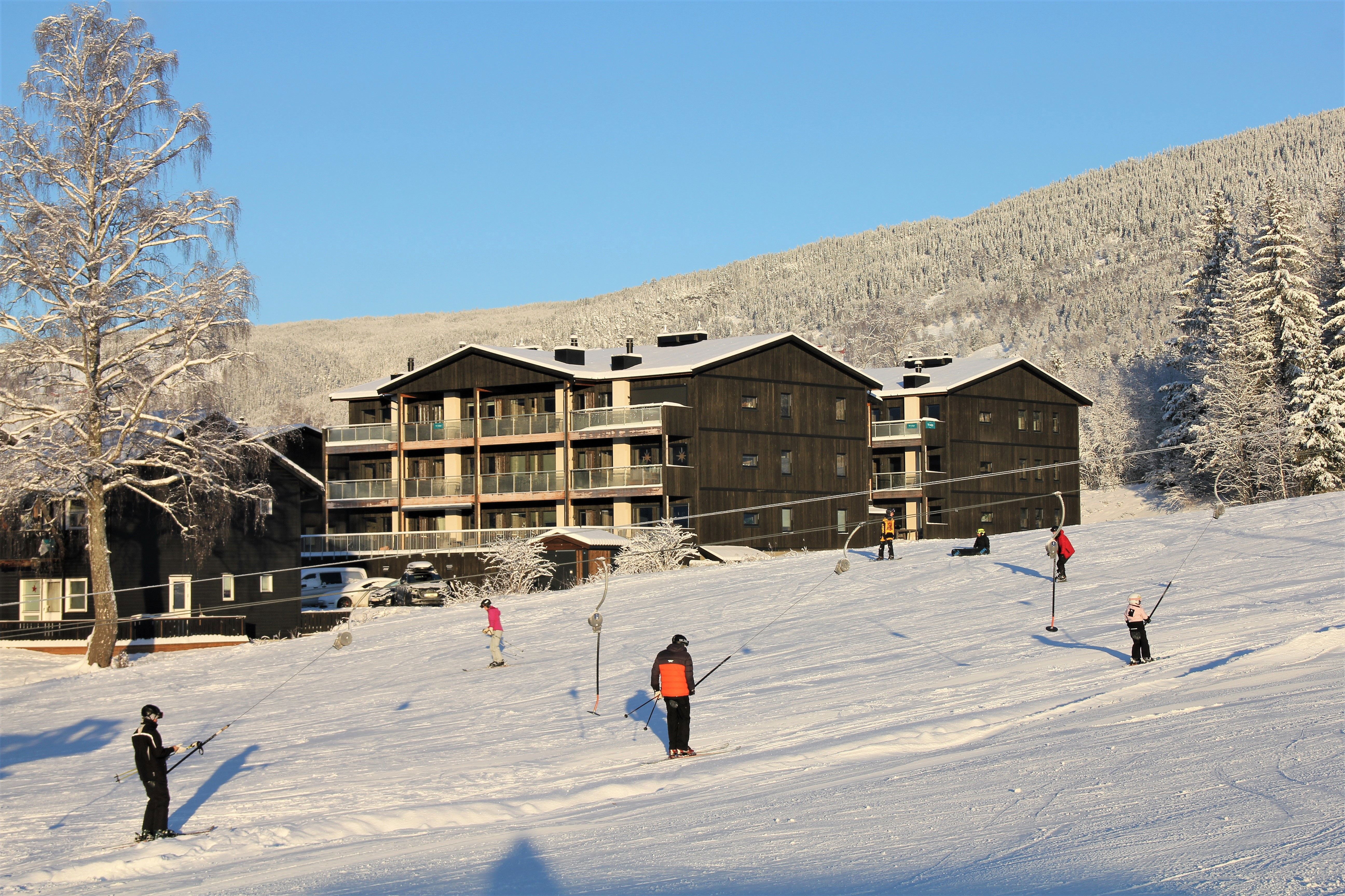 A group of people skiing on a snow-covered slope.
