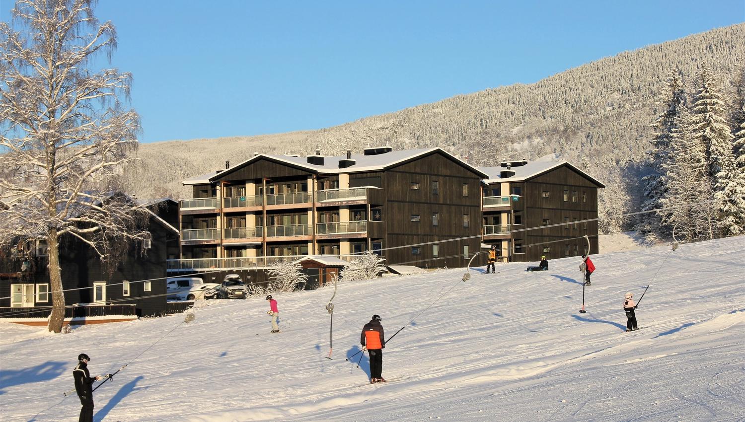 A group of people skiing on a snow-covered slope.