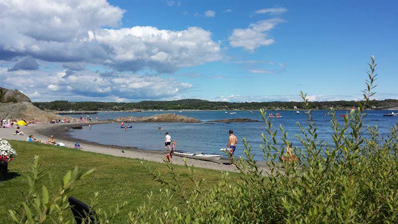 Gress, strand og hav