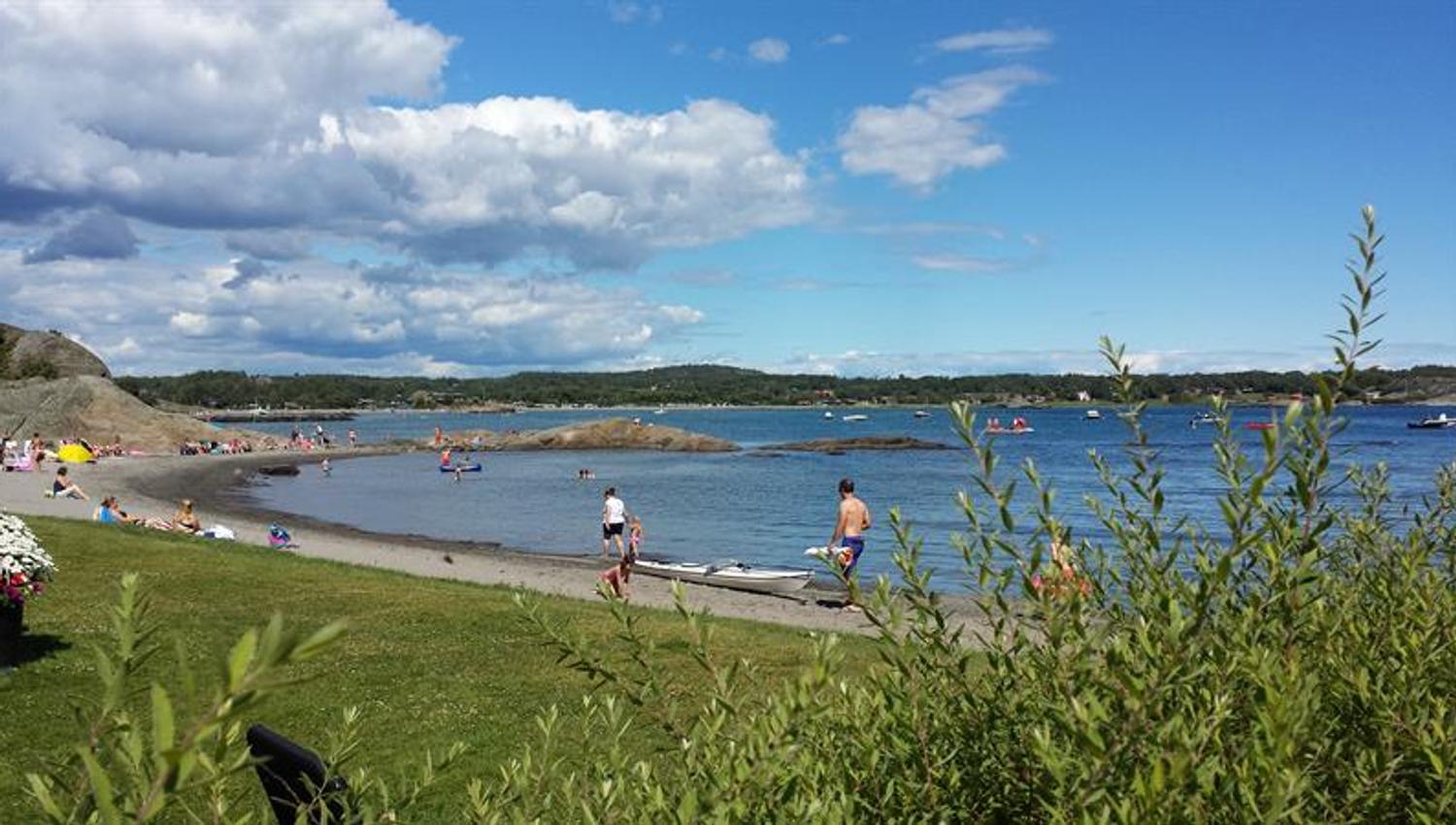 Gress, strand og hav