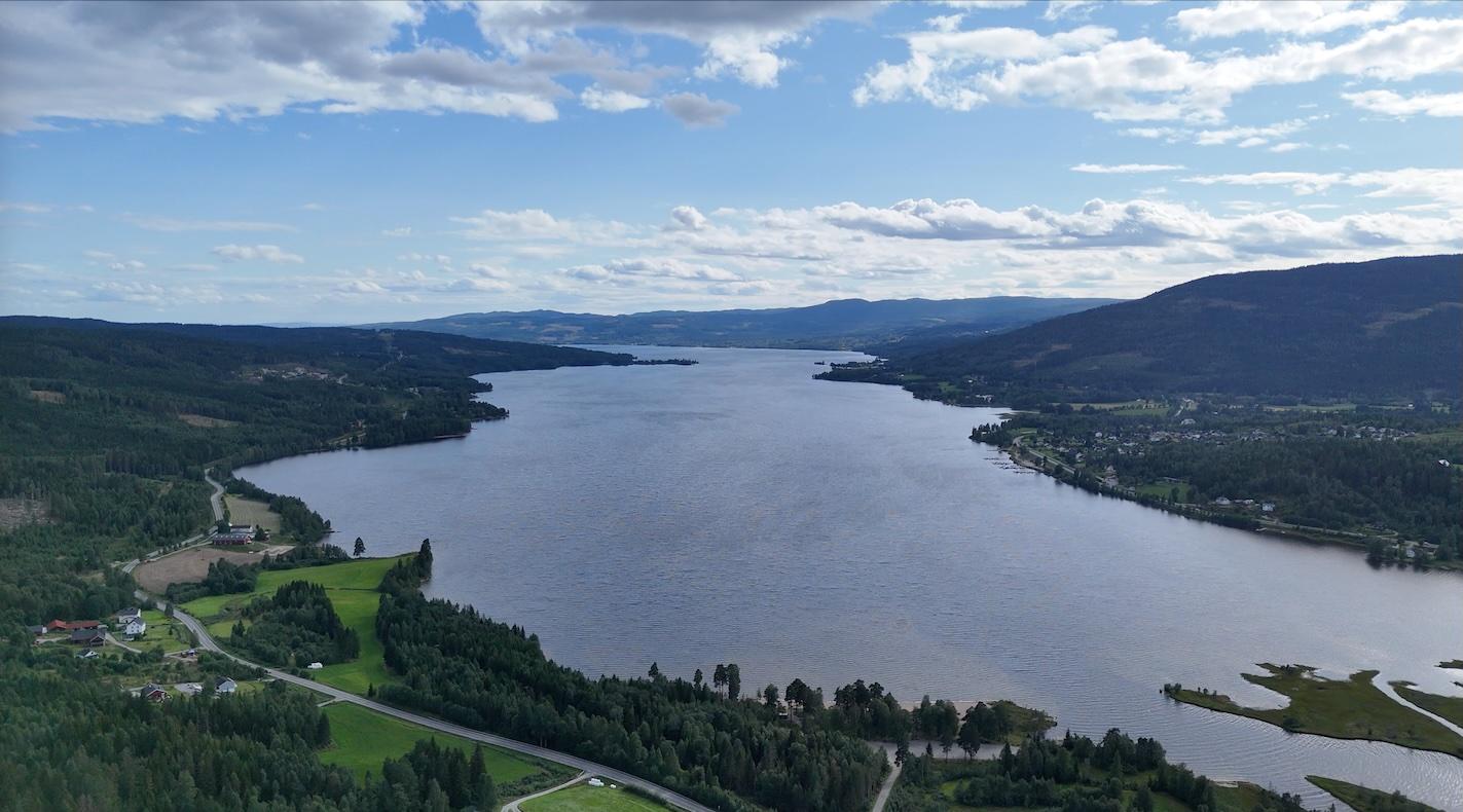 stor sjø med skog rundt