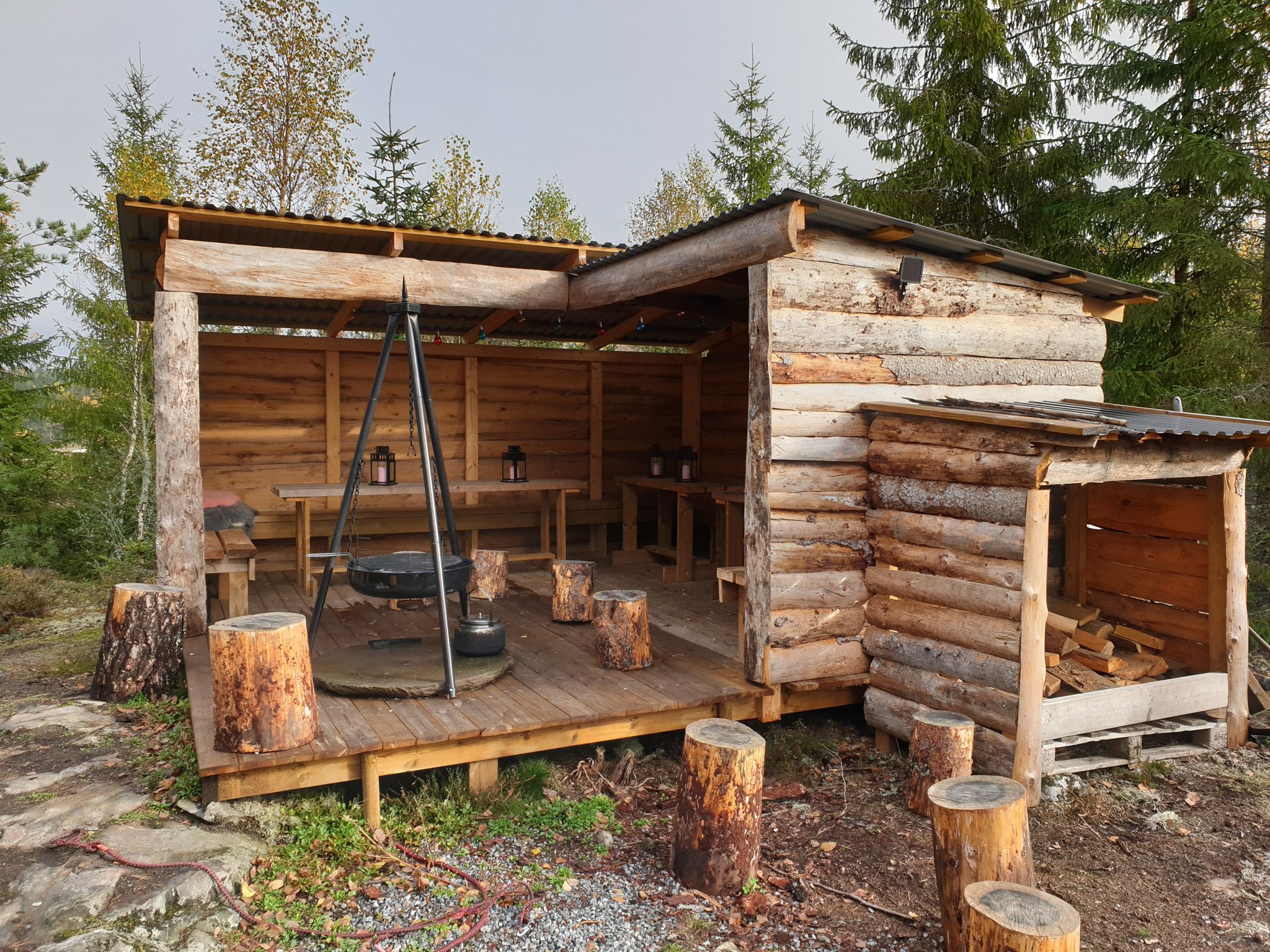 Resting area in the forrest