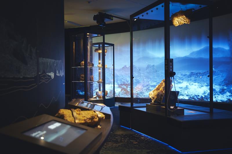 Universitetsmuseet i Bergen