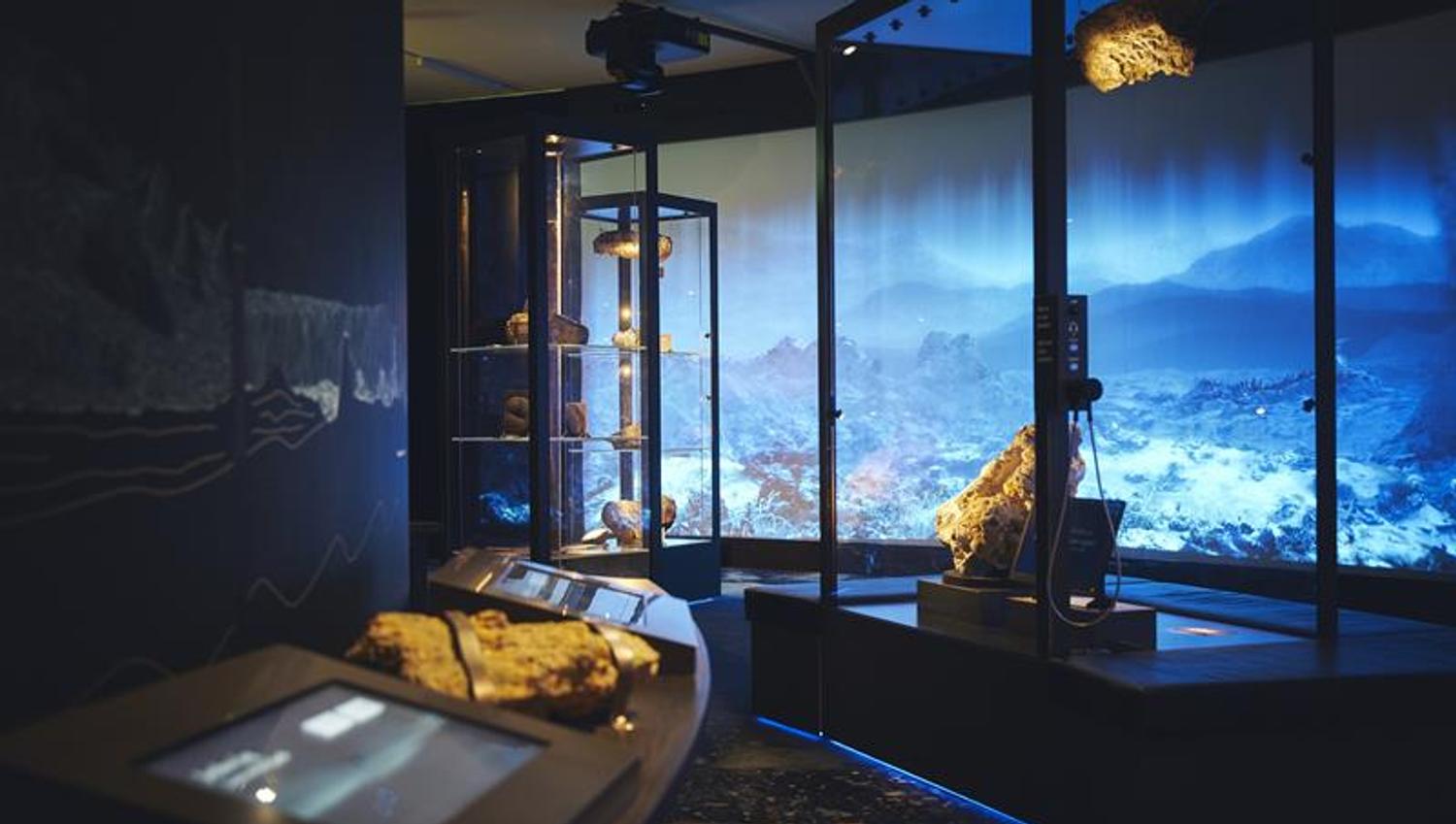 Universitetsmuseet i Bergen