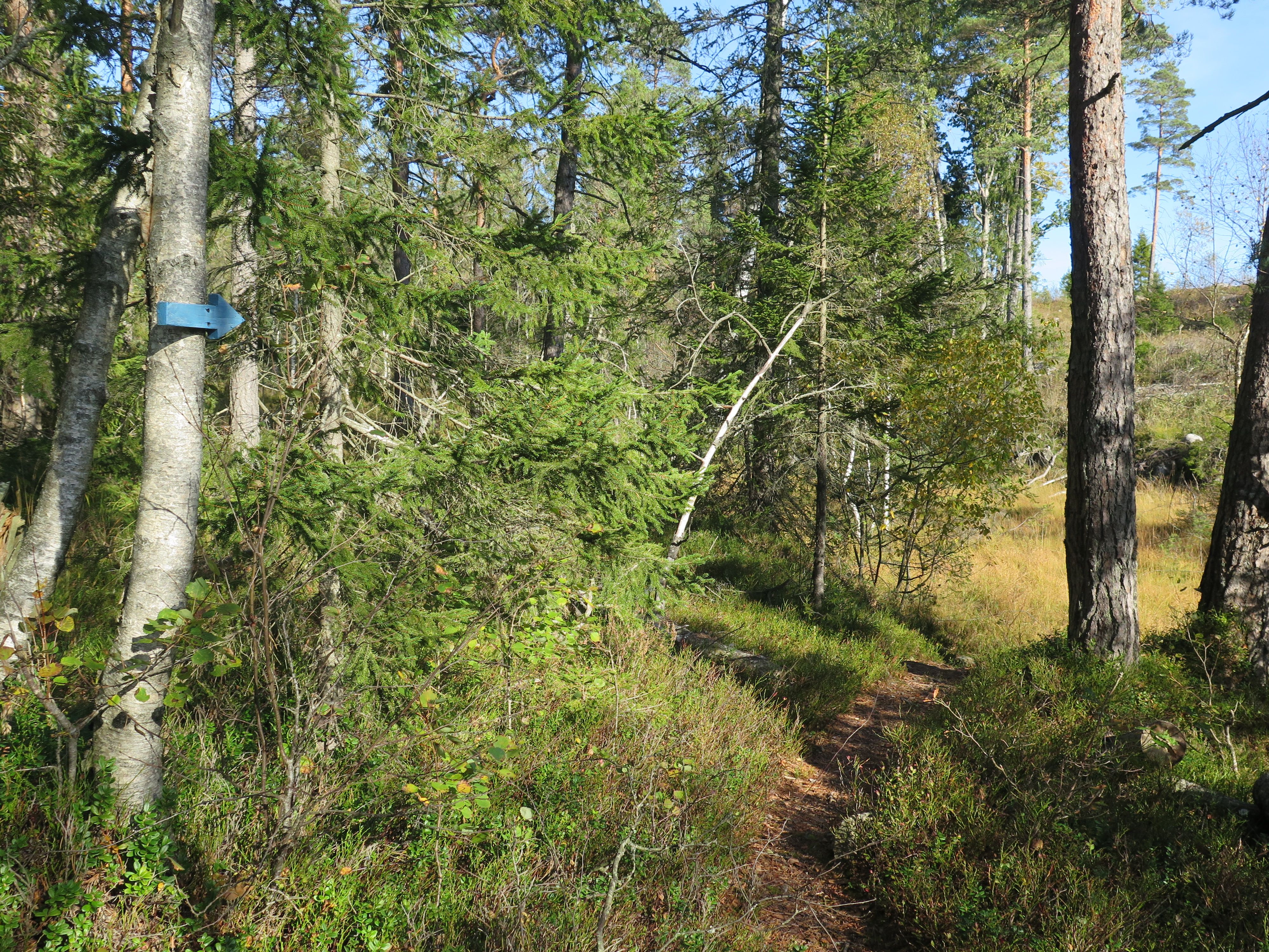Krigsminnet på Vierli