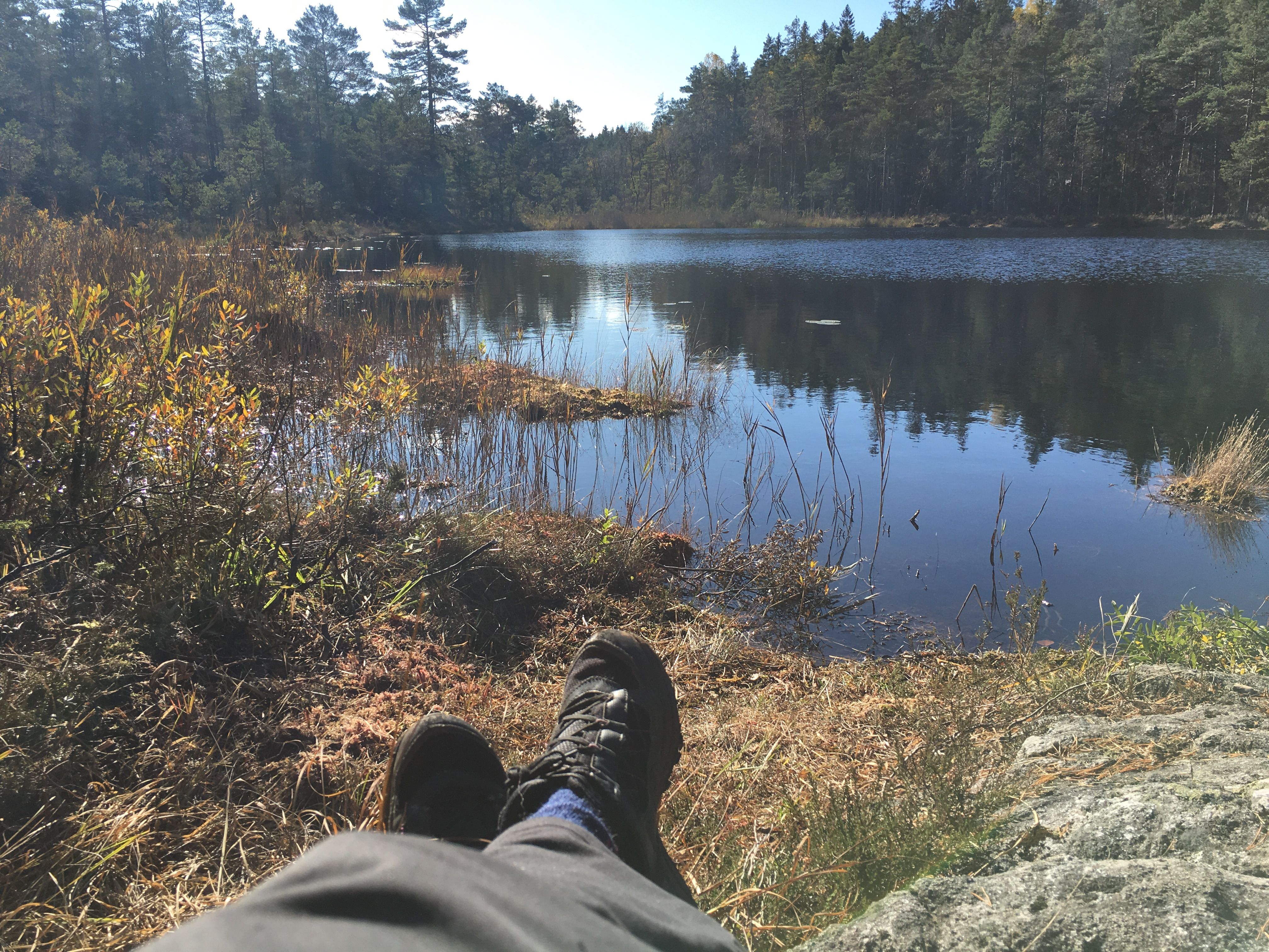 bilde av stille tjern