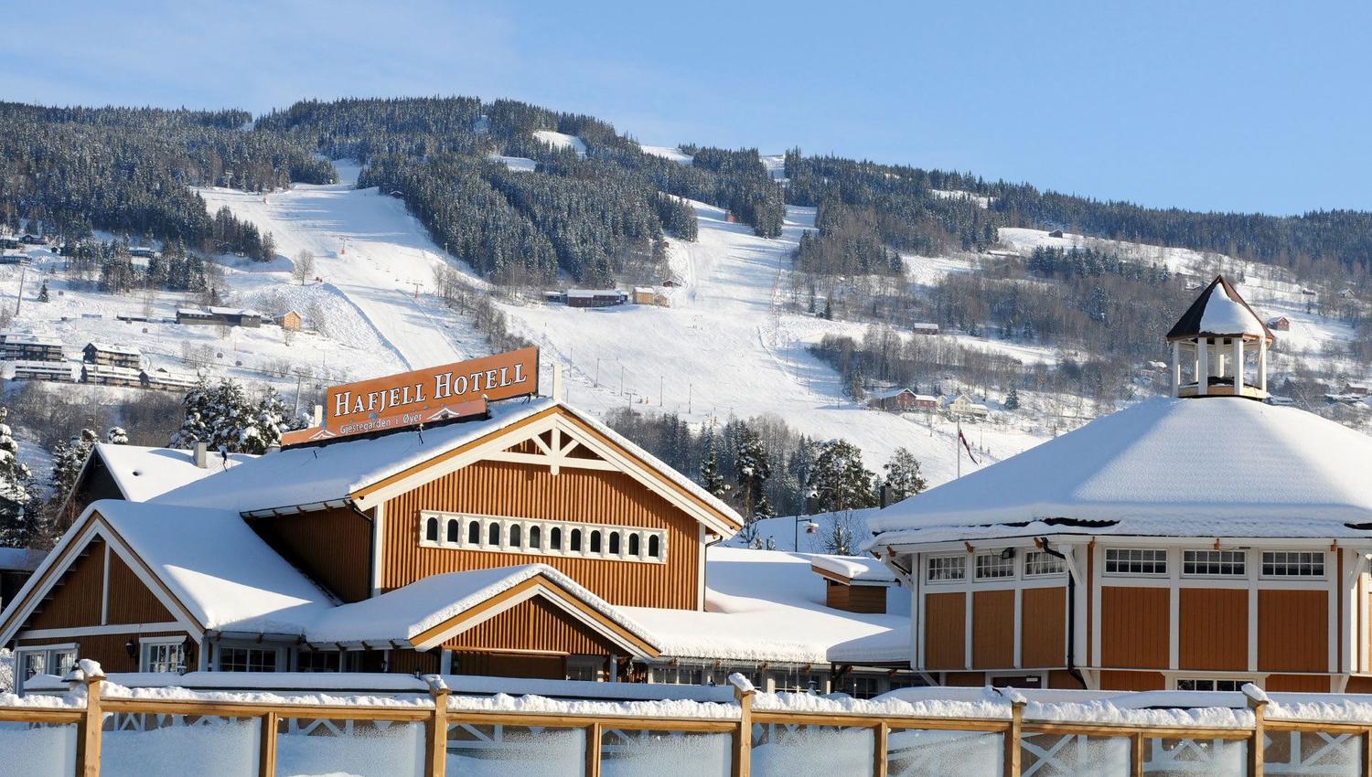 Hotels near the alpine slopes
