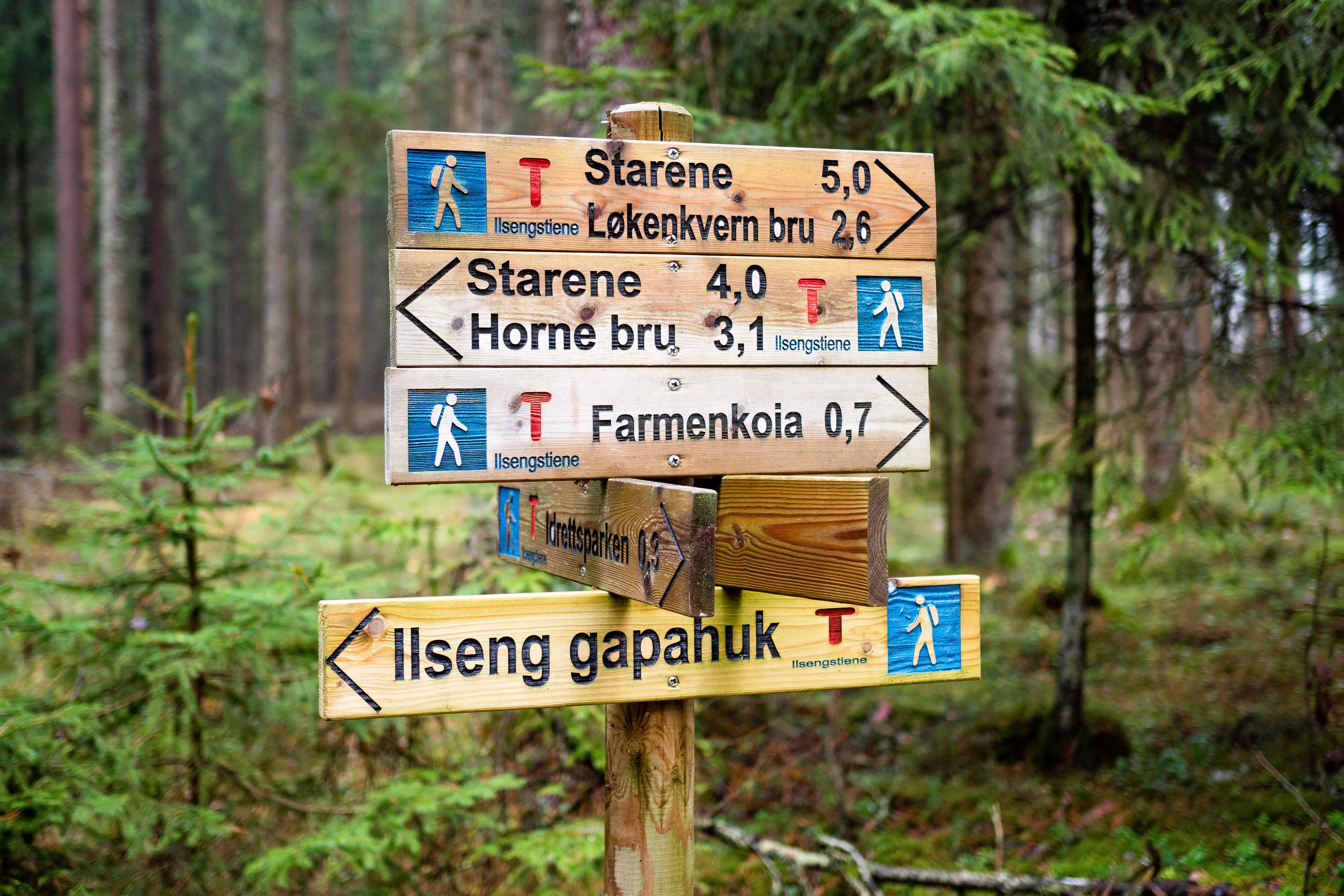 HRU-Ilsengstiene-004