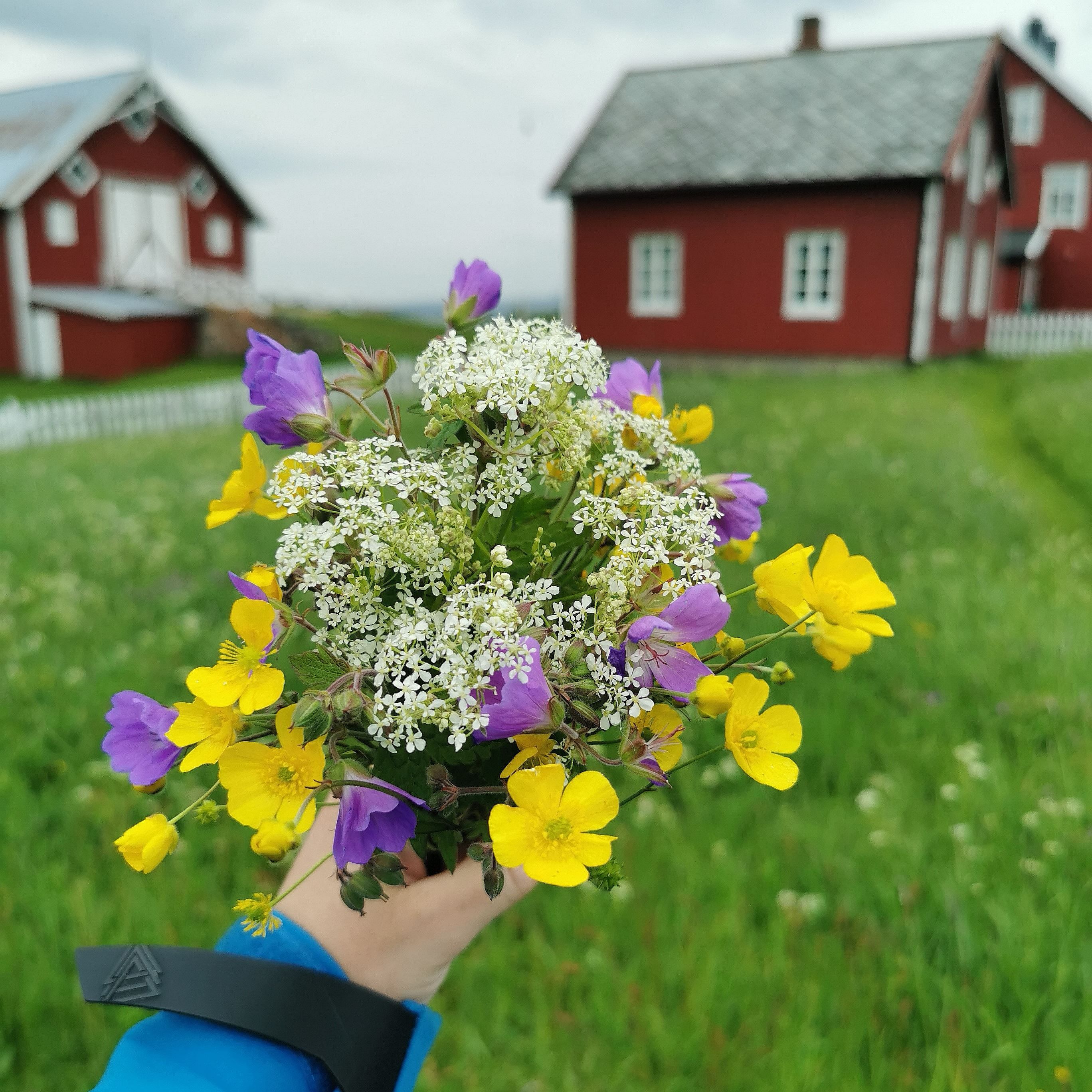 summer bouquet with traditional barley in the background