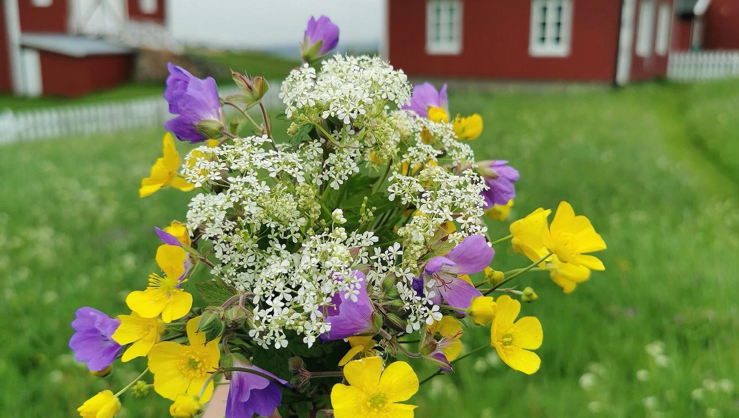 summer bouquet with traditional barley in the background