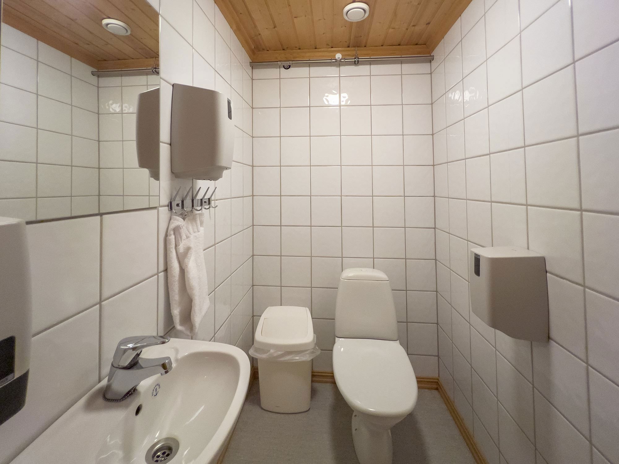 A bathroom with toilet and sink.