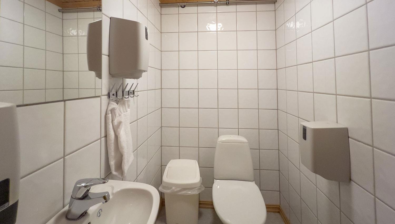 A bathroom with toilet and sink.