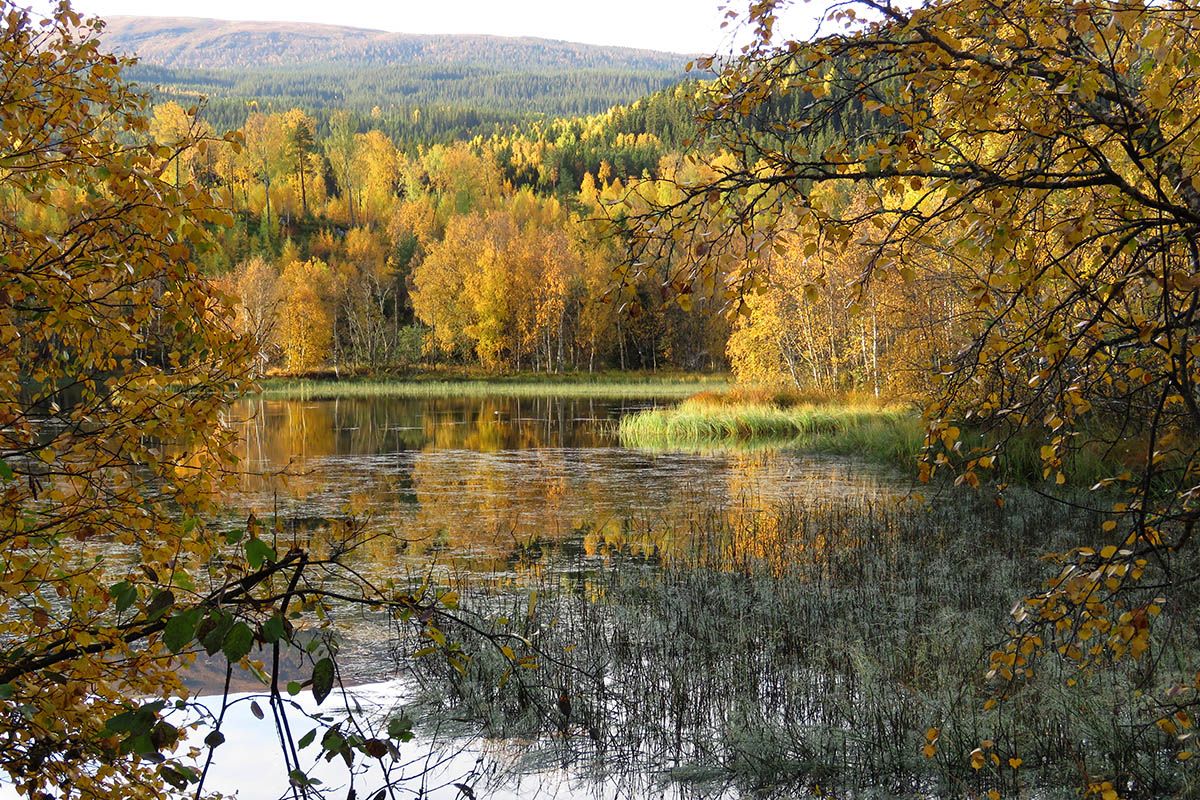 web_Lomendelta_IMG_9513