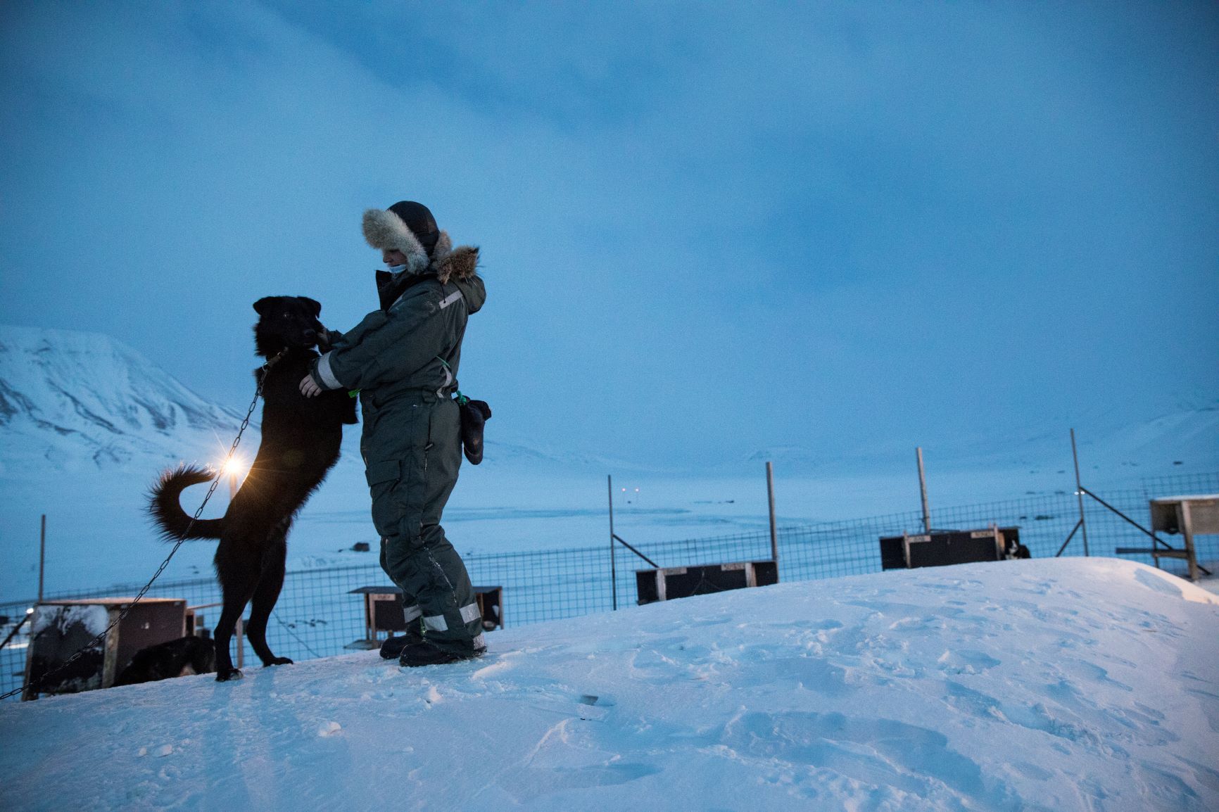 Person som koser med en hund