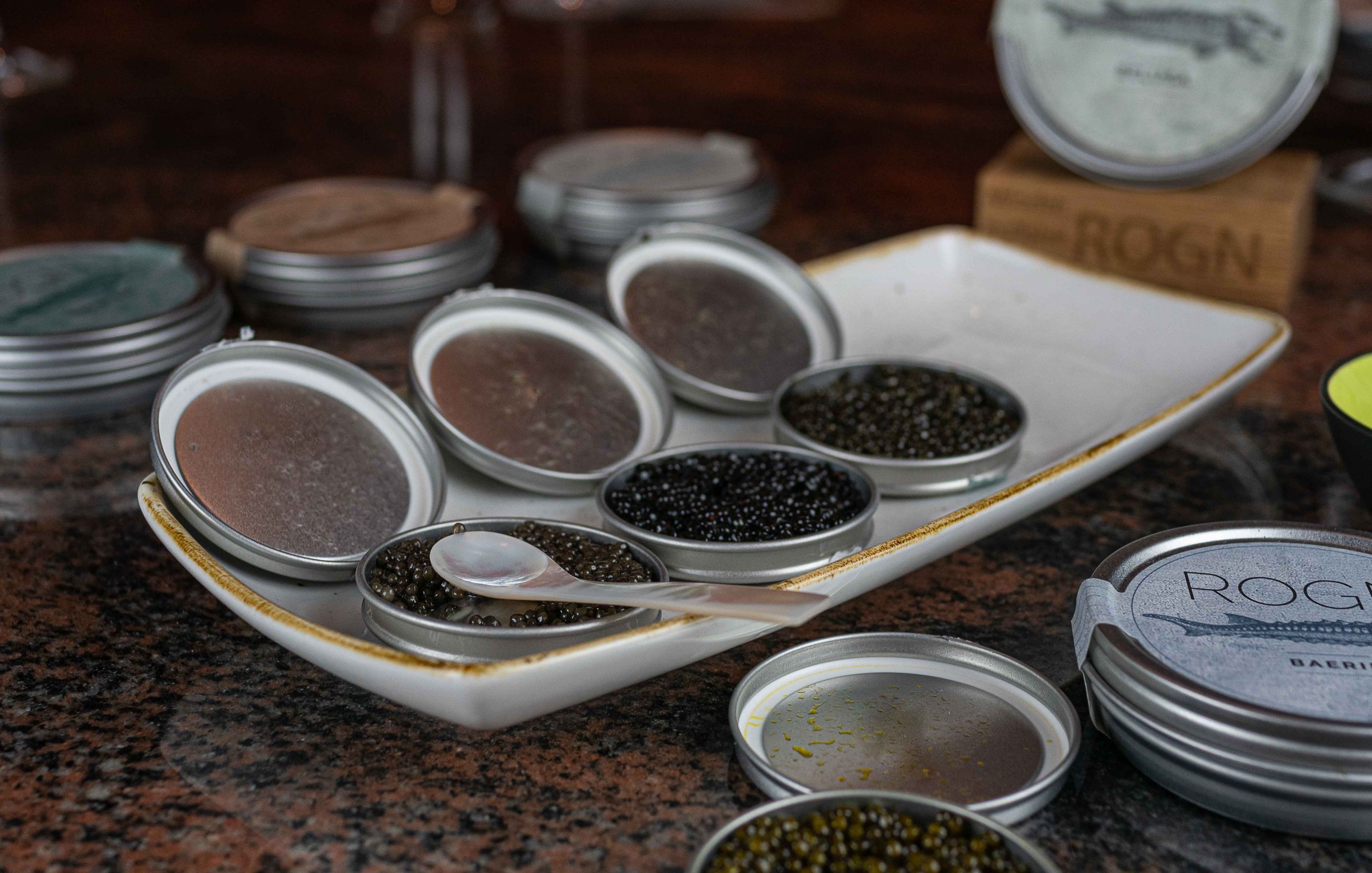 Nama Japanese Fusion