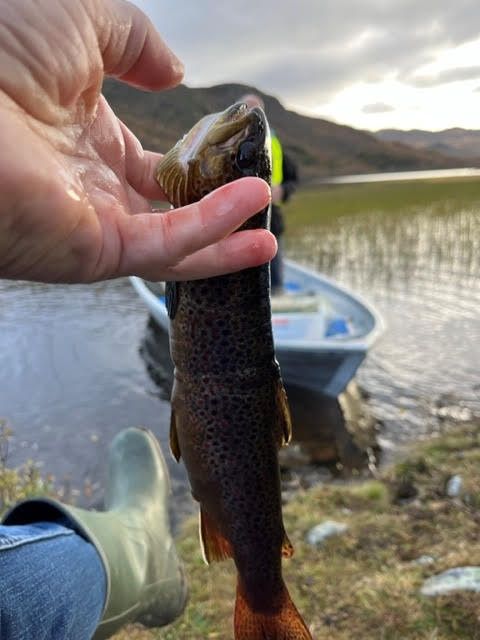Fiske på Rauland
