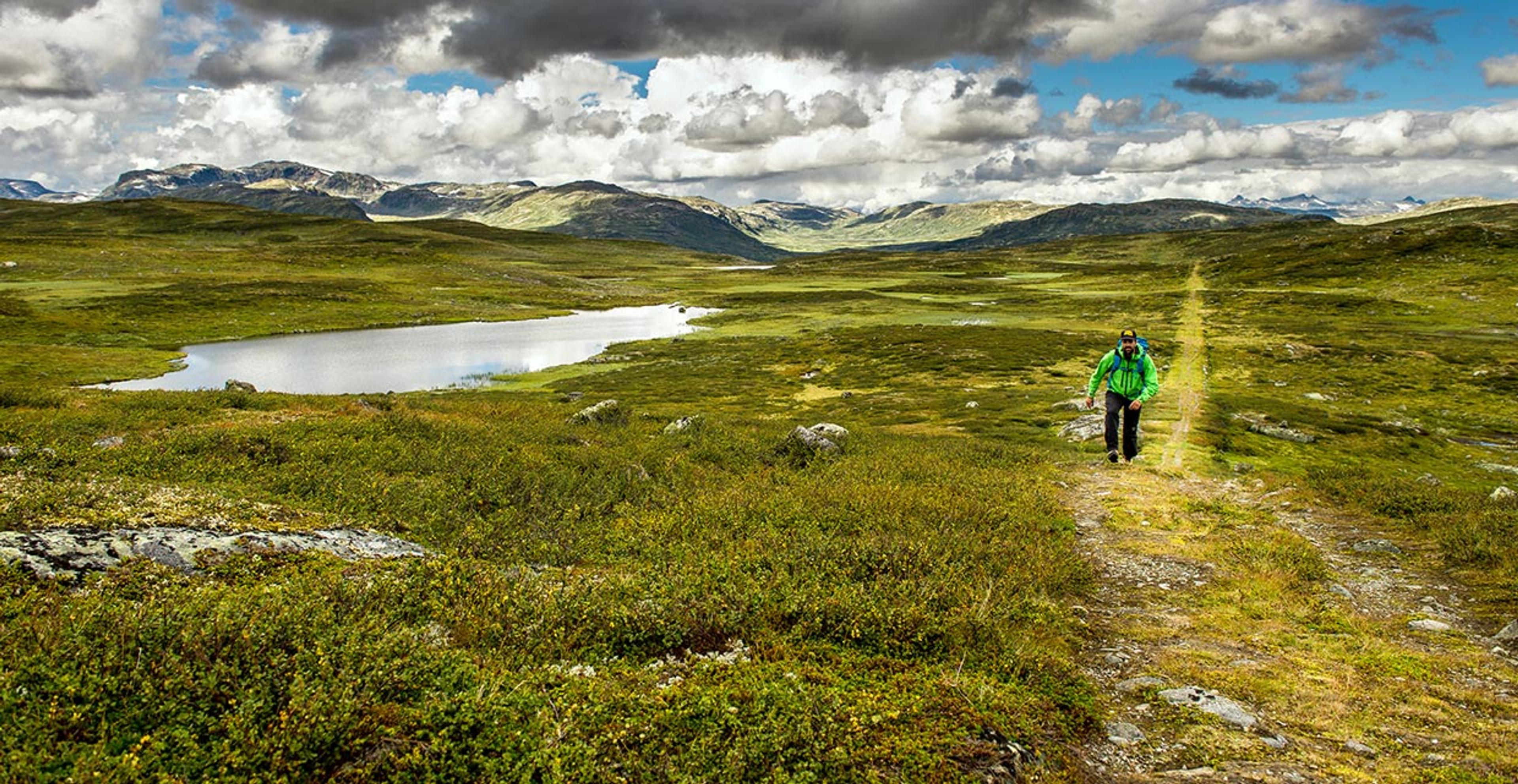 Kongevegen over Filefjell