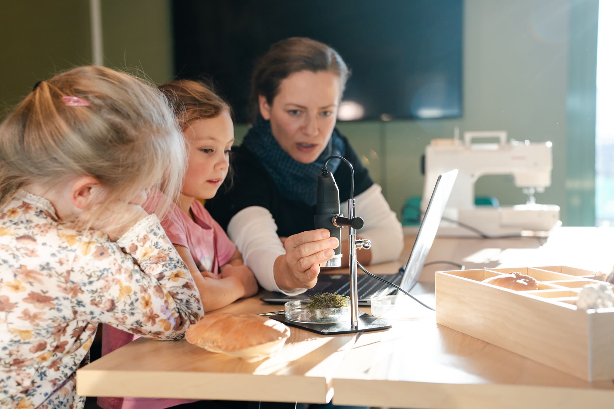 Vega World Heritage Center