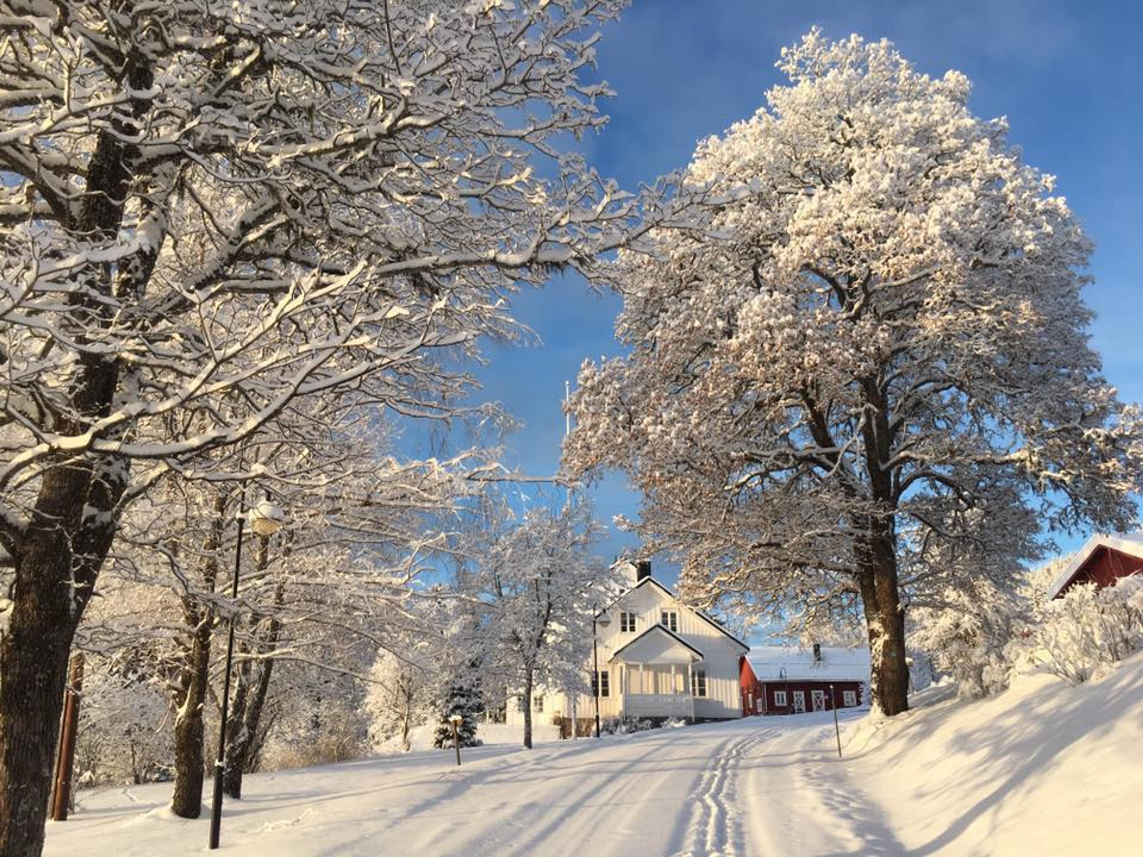 Gravberget Gård i vinterskrud