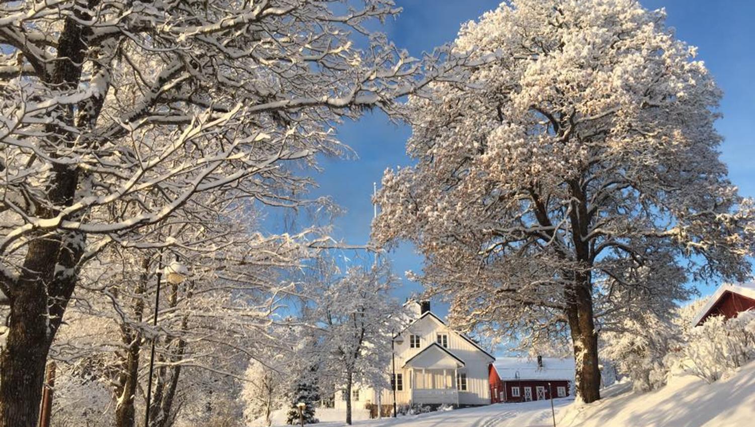 Gravberget Gård i vinterskrud