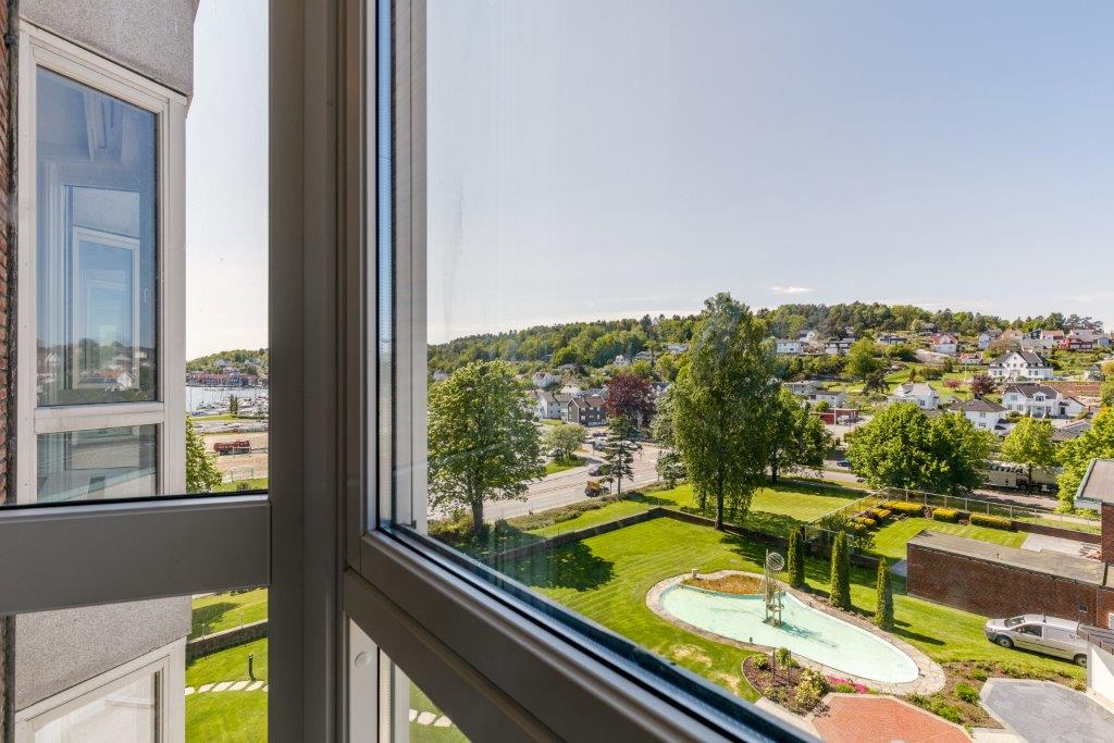 View of the park from the hotel