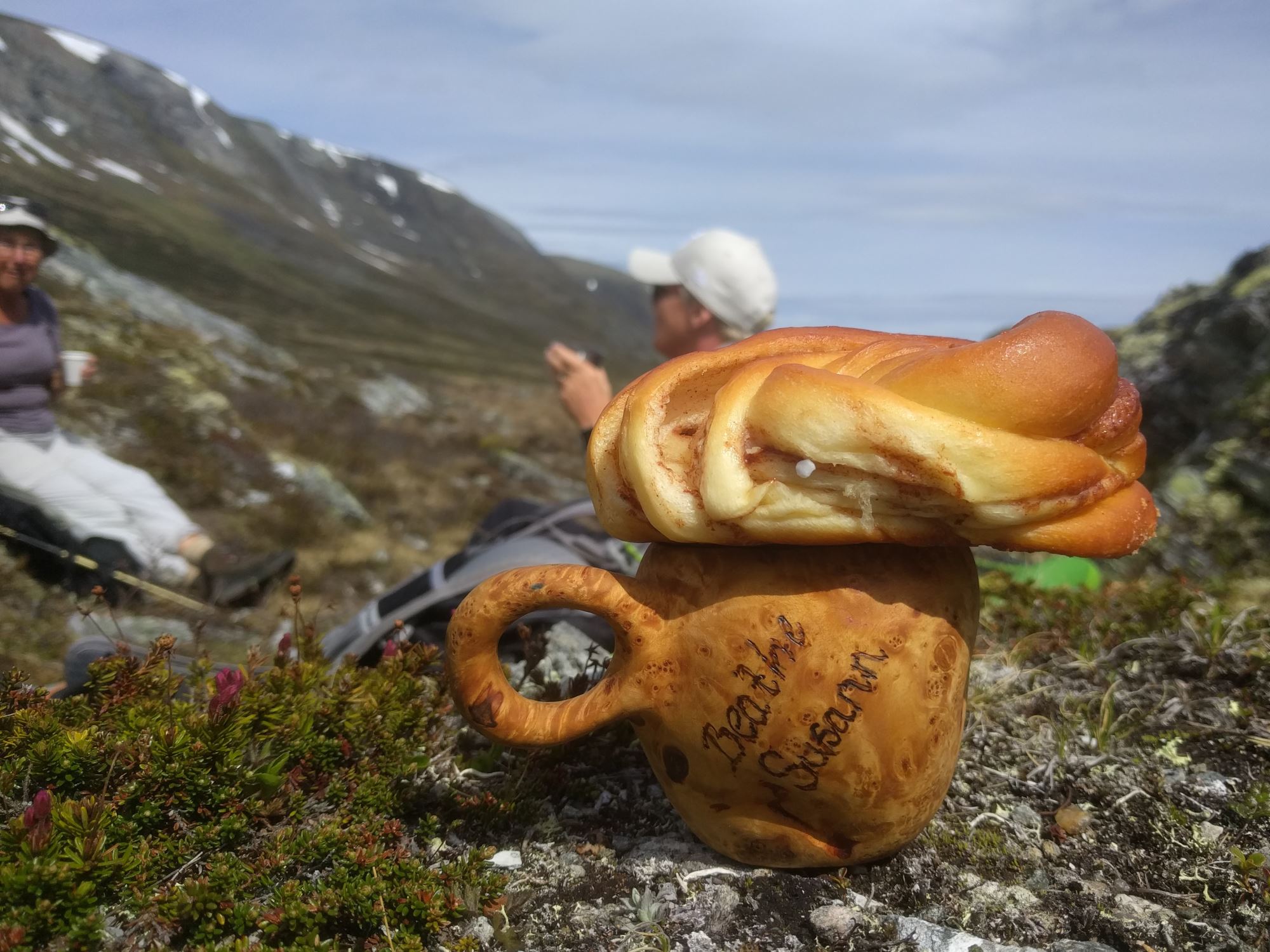 Moskussafari