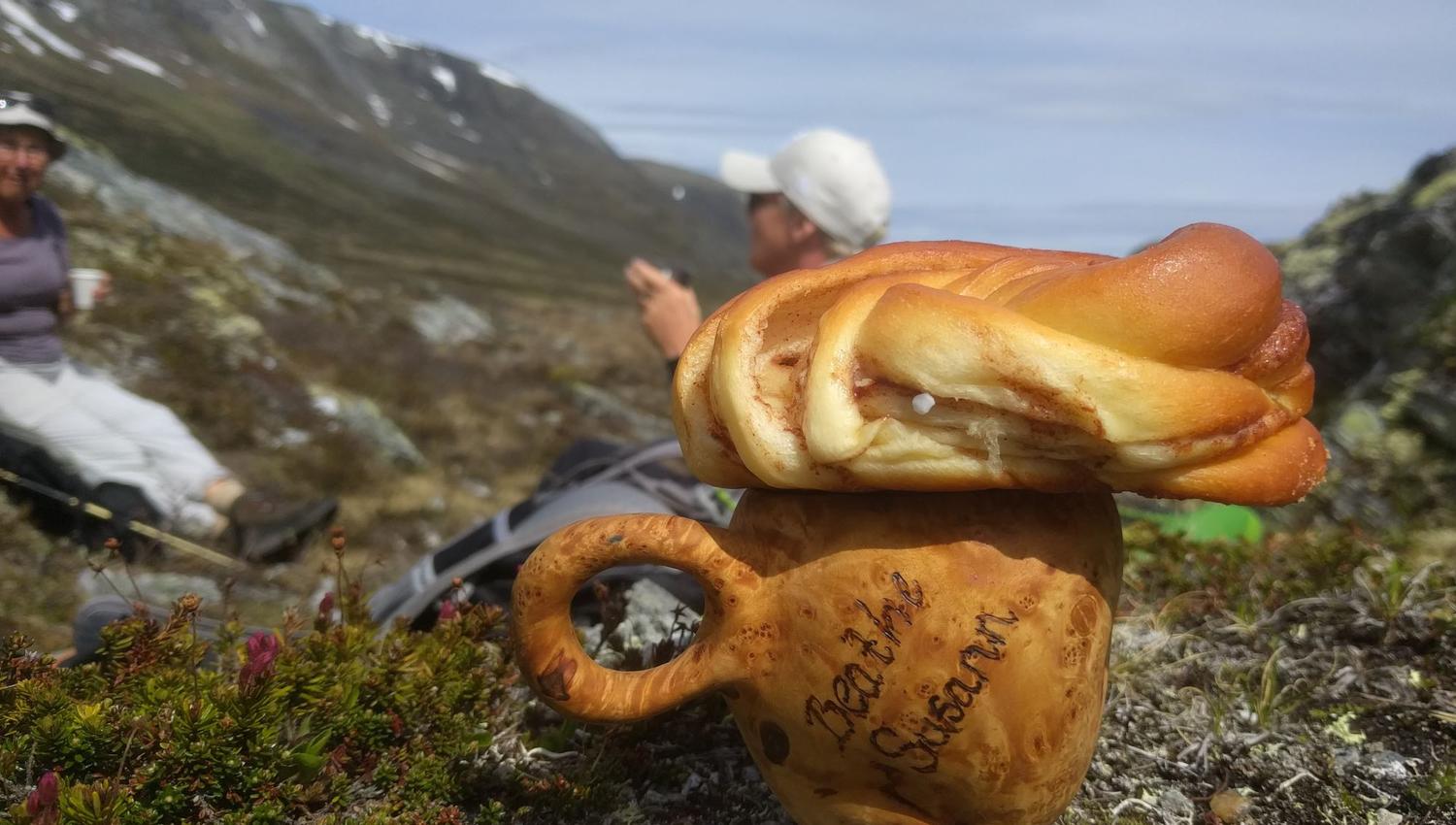 Moskussafari