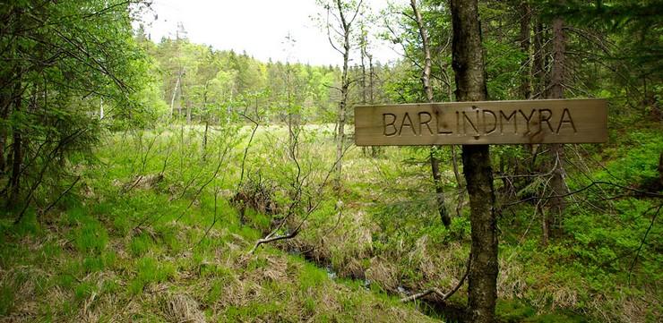 Vegårshei Tursti Barlindsmyra