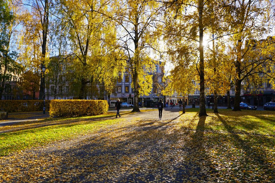 Autumn at Birkelunden