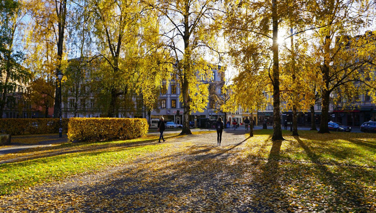 Autumn at Birkelunden