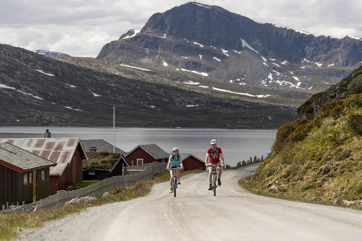 Langs Jotunheimenvegen, en del av sykkeruta Mjølkevegen, med Bitihorn i bakgrunnen.